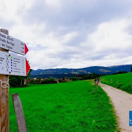 Centre New Modern House